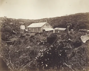 Die deutsche Venus-Transit-Expedition, Auckland-Inseln, 1874-75